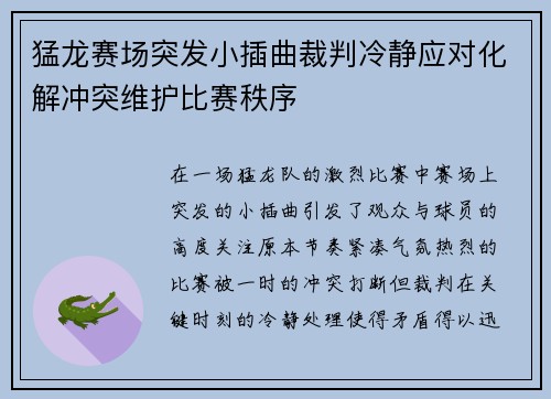 猛龙赛场突发小插曲裁判冷静应对化解冲突维护比赛秩序