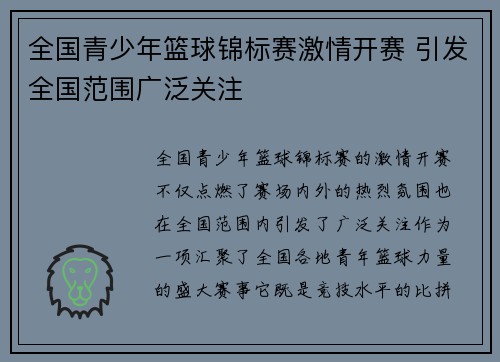 全国青少年篮球锦标赛激情开赛 引发全国范围广泛关注